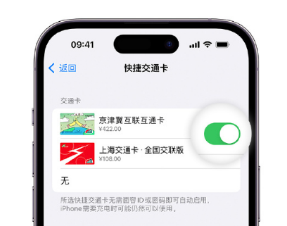 平江apple维修点分享iPhone上更换Apple Pay快捷交通卡手绘卡面 