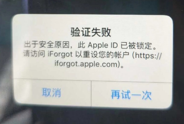 平江iPhone维修分享iPhone上正常登录或使用AppleID怎么办 