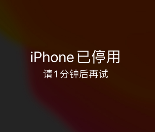 平江苹果手机维修分享:iPhone 显示“不可用”或“已停用”怎么办？还能保留数据吗？ 