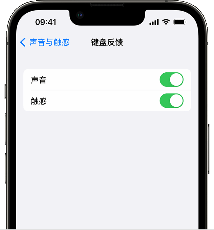 平江苹果14维修店分享如何在 iPhone 14 机型中使用触感键盘 