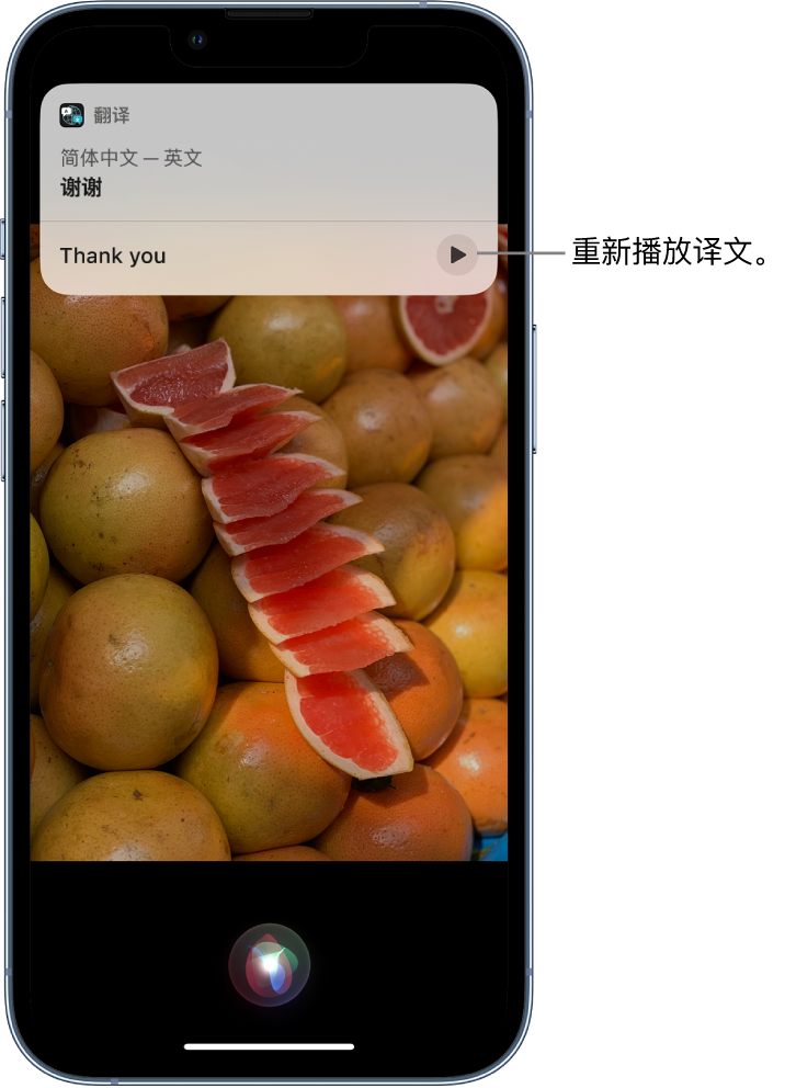 平江苹果14维修分享 iPhone 14 机型中使用 Siri：了解 Siri 能帮你做什么 