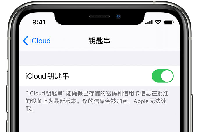 平江苹果手机维修分享在 iPhone 上开启 iCloud 钥匙串之后会储存哪些信息 