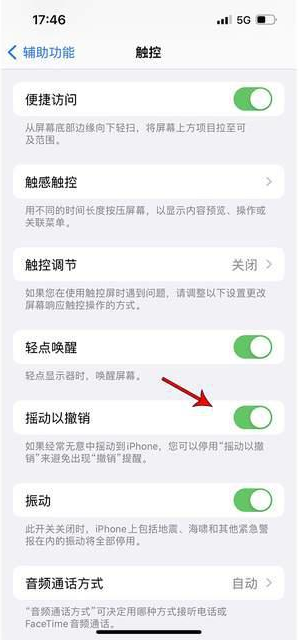 平江苹果手机维修分享iPhone手机如何设置摇一摇删除文字 