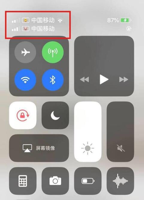 平江苹果手机维修分享为 iPhone 12 双卡设置标签 