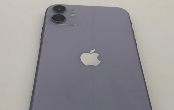 平江苹果11系统维修分享iPhone11手机系统崩溃无法开机如何解决 